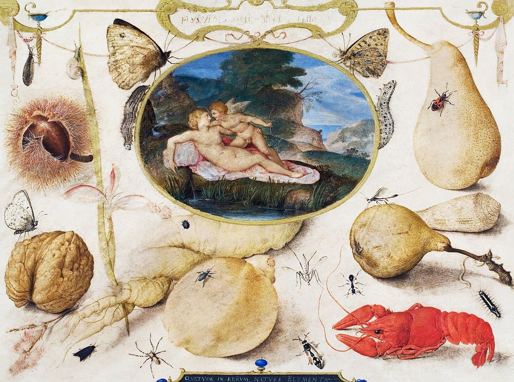 "Venus disarming Amor" in a medallion surrounded by plants, fruits, insects and shellfish (1593&ndash;1597) painting in high…