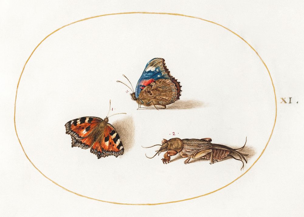 Small Tortoiseshell and Red Admiral Butterflies with a Mole Cricket (1575-1580) painting in high resolution by Joris…