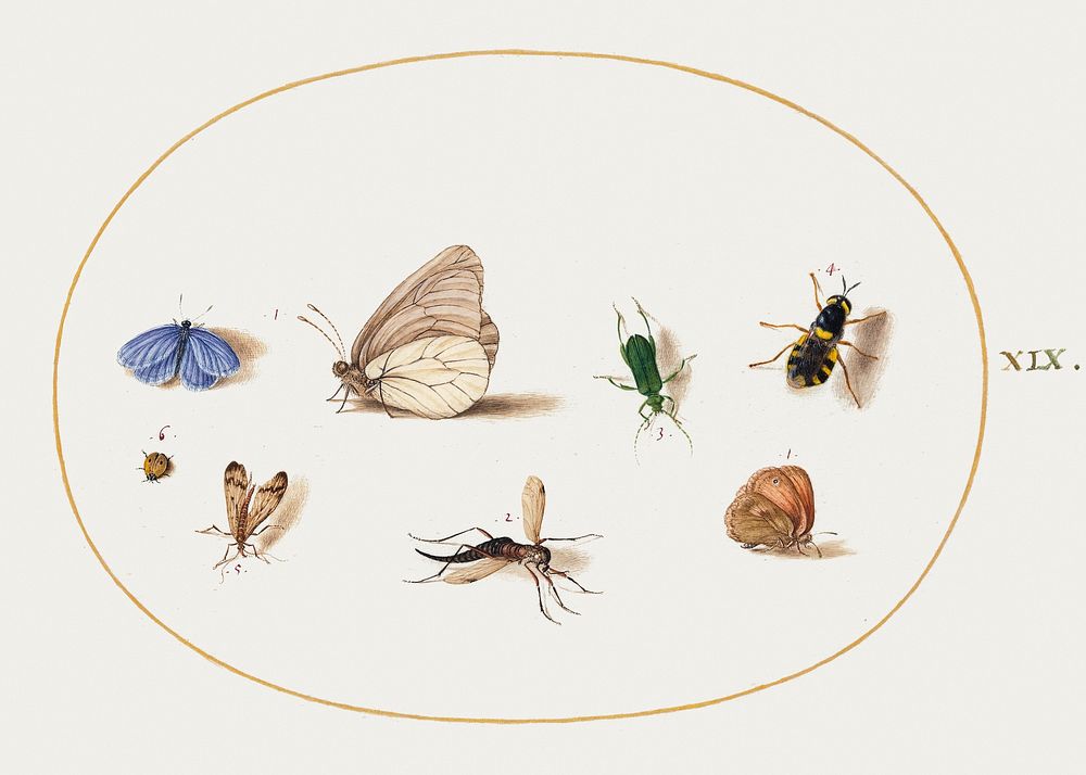 Two Butterflies with Five Other Insects (1575&ndash;1580) painting in high resolution by Joris Hoefnagel. Original from The…