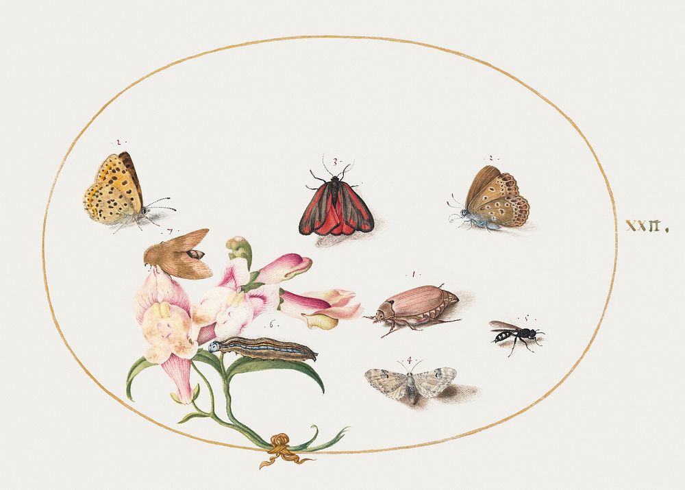 Butterflies with Other Insects and a Snapdragon (1575&ndash;1580) painting in high resolution by Joris Hoefnagel. Original…