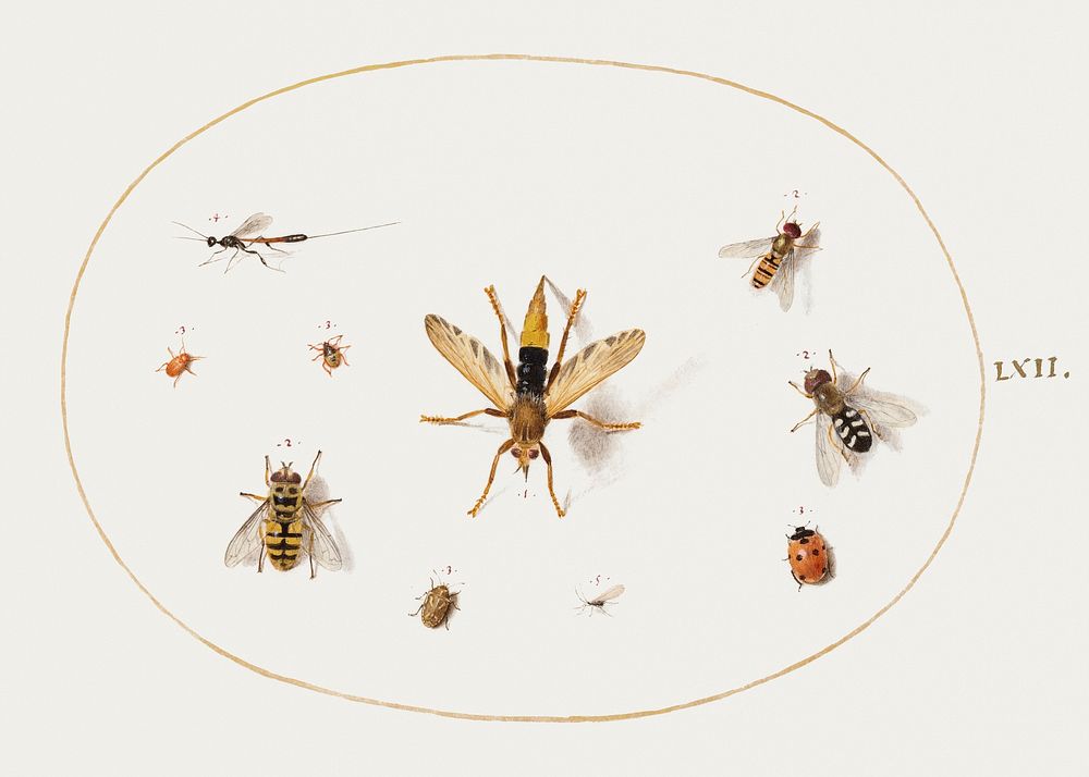 Ten Insects (1575&ndash;1580) painting in high resolution by Joris Hoefnagel. Original from The National Gallery of Art.…