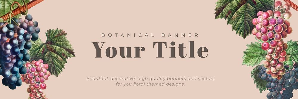 Vintage botanical banner design vector