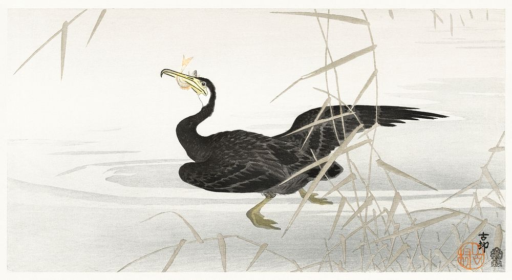 Japanese cormorant catching fish (1900-1910) by Ohara Koson (1877-1945). Original from The Rijksmuseum. Digitally enhanced…