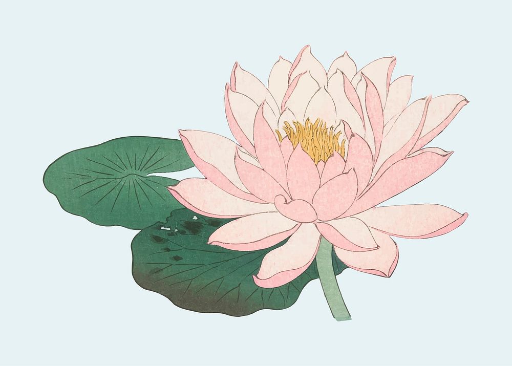 Lotus flower sticker, vintage botanical illustration vector, remix from the artwork of Ohara Koson