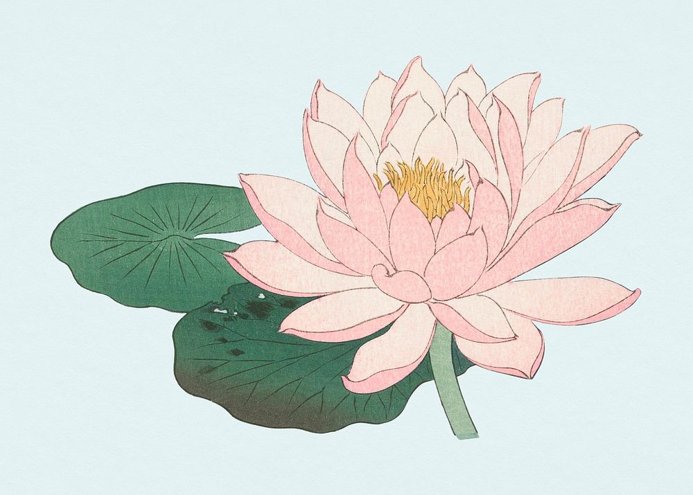 Water lily flower sticker, vintage botanical illustration psd, remix from the artwork of Ohara Koson