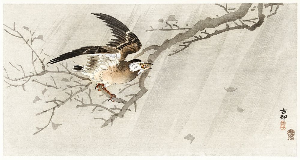 Gray starling in storm (1900 - 1910) by Ohara Koson (1877-1945). Original from The Rijksmuseum. Digitally enhanced by…