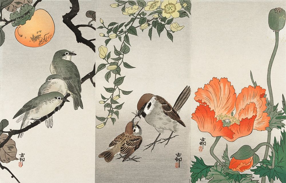 Birds and plants (1900 - 1936) by Ohara Koson (1877-1945). Original from The Rijksmuseum. Digitally enhanced by rawpixel.