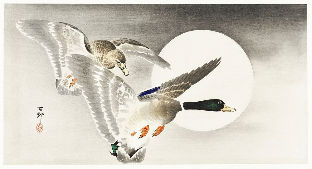 Two ducks at full moon (1900 - 1930) by Ohara Koson (1877-1945). Original from The Rijksmuseum. Digitally enhanced by…