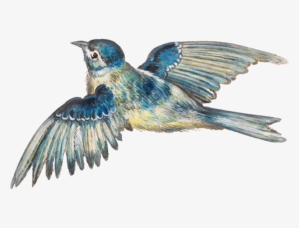Vintage blue tit bird illustration vector