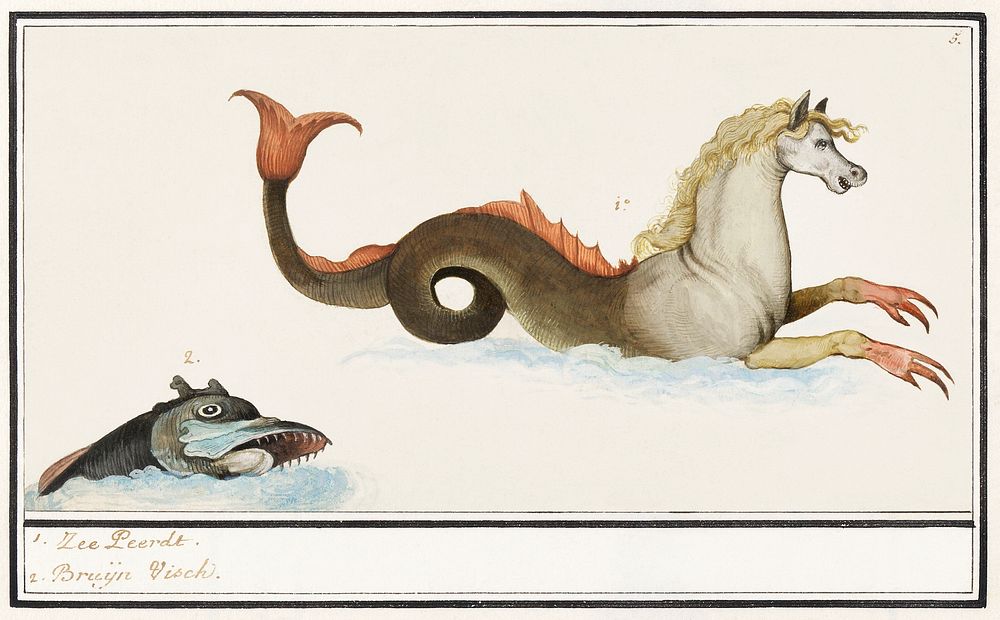 Hippocampus and fish, Fantasy animals (1596&ndash;1610) by Anselmus Bo&euml;tius de Boodt. Original from the Rijksmuseum.…