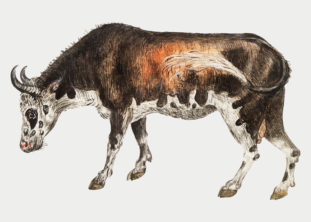 Vintage cow illustration in vector