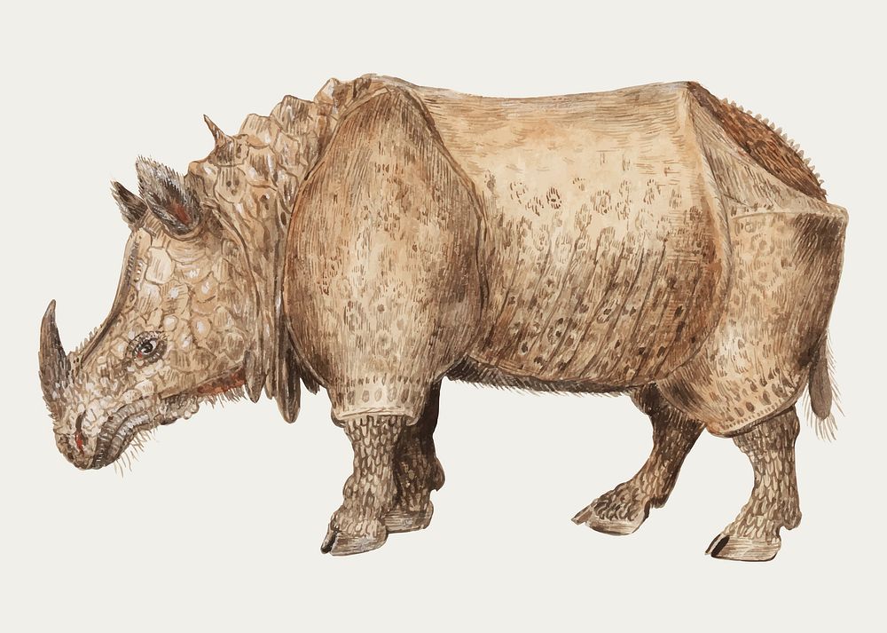 Vintage Indian rhinoceros illustration in vector