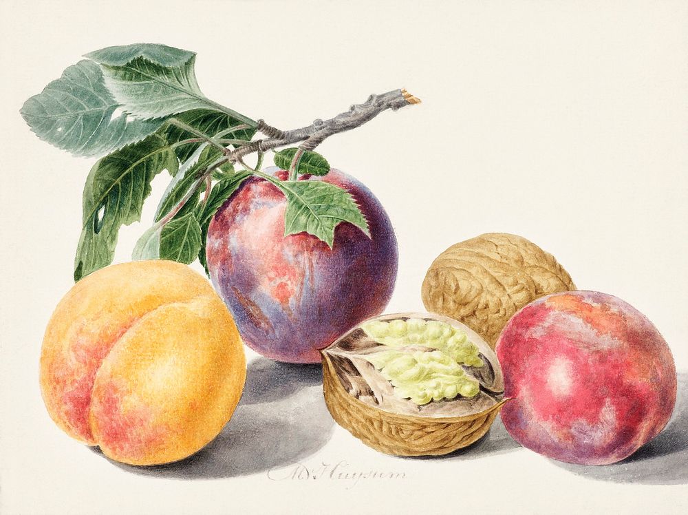 Fruits by Michiel van Huysum (1714-1760). Original from The Rijksmuseum. Digitally enhanced by rawpixel.