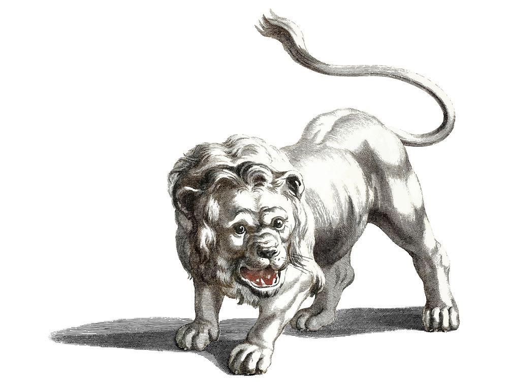Vintage illustration of a lion