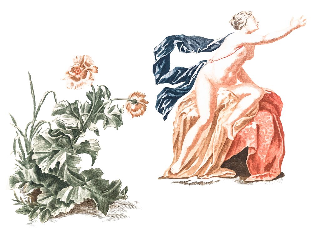 Vintage illustration of Poppies and a naked woman