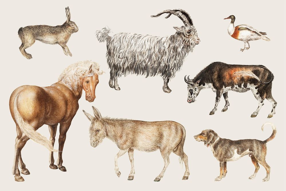 Vintage countryside farm animals set vector