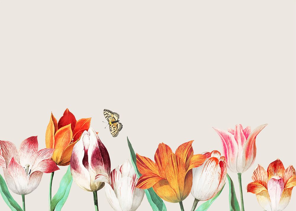Spring background vector with tulip flower border