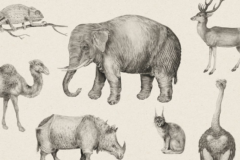 Vintage safari animals set vector