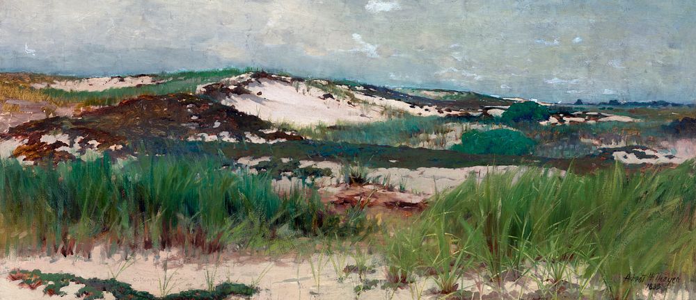 Nantucket Sand Dune (ca.1890) painting in high resolution by Abbott Handerson Thayer and C. Morgan McIlhenney. Original from…