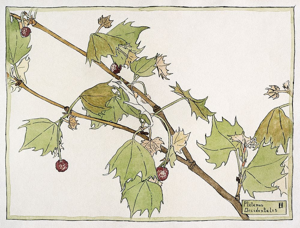 Sycamore (1915) by Hannah Borger Overbeck. Original from The Los Angeles County Museum of Art. Digitally enhanced by…