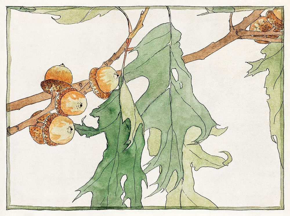 Oak/Acorns (1915) by Hannah Borger Overbeck. Original from The Los Angeles County Museum of Art. Digitally enhanced by…