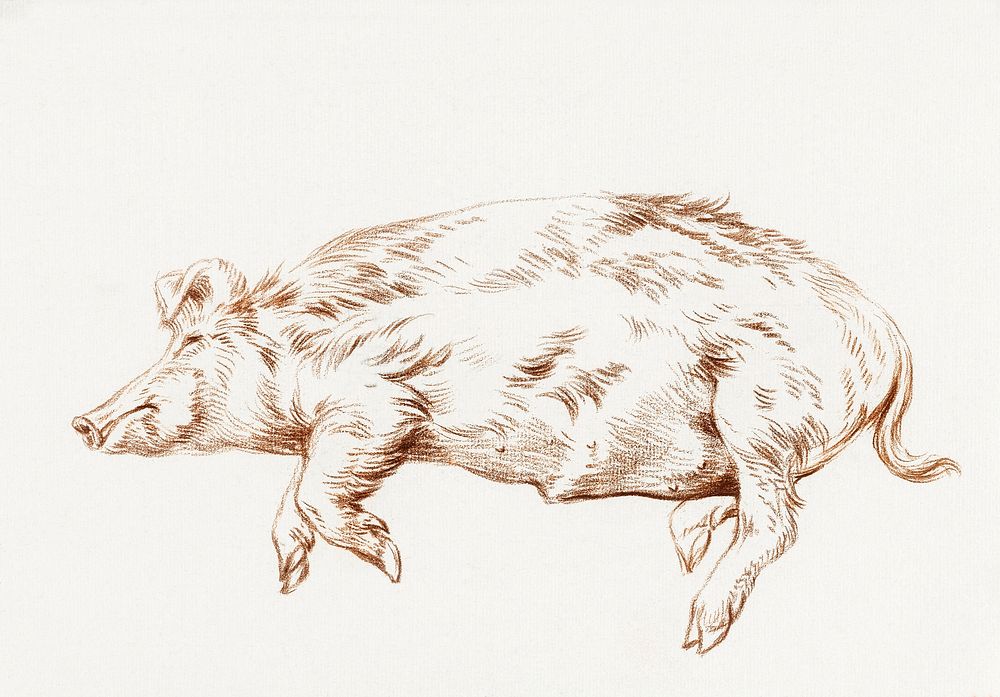 Lying pig (1812) by Jean Bernard (1775-1883). Original from The Rijksmuseum. Digitally enhanced by rawpixel.