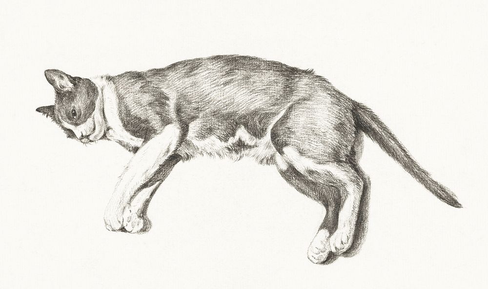 Sketch of a lying cat by Jean Bernard (1775-1883). Original from The Rijksmuseum. Digitally enhanced by rawpixel.