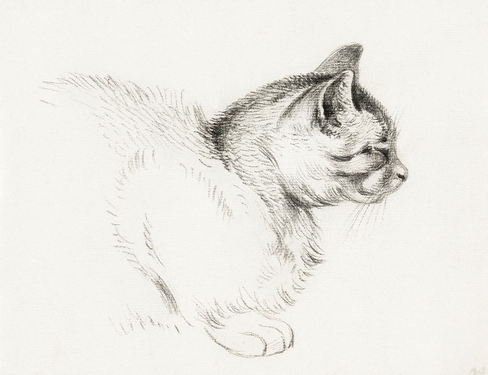 Sketch of a cat (1812) by Jean Bernard (1775-1883). Original from The Rijksmuseum. Digitally enhanced by rawpixel.