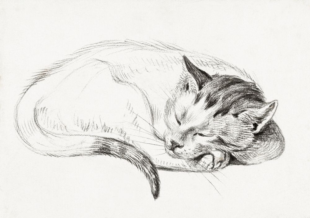 Sketch of a sleeping cat (1812) by Jean Bernard (1775-1883). Original from The Rijksmuseum. Digitally enhanced by rawpixel.