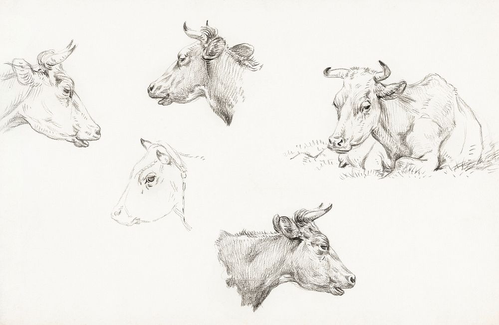 Four study sketches of cows (1821) by Jean Bernard (1775-1883). Original from The Rijksmuseum. Digitally enhanced by…