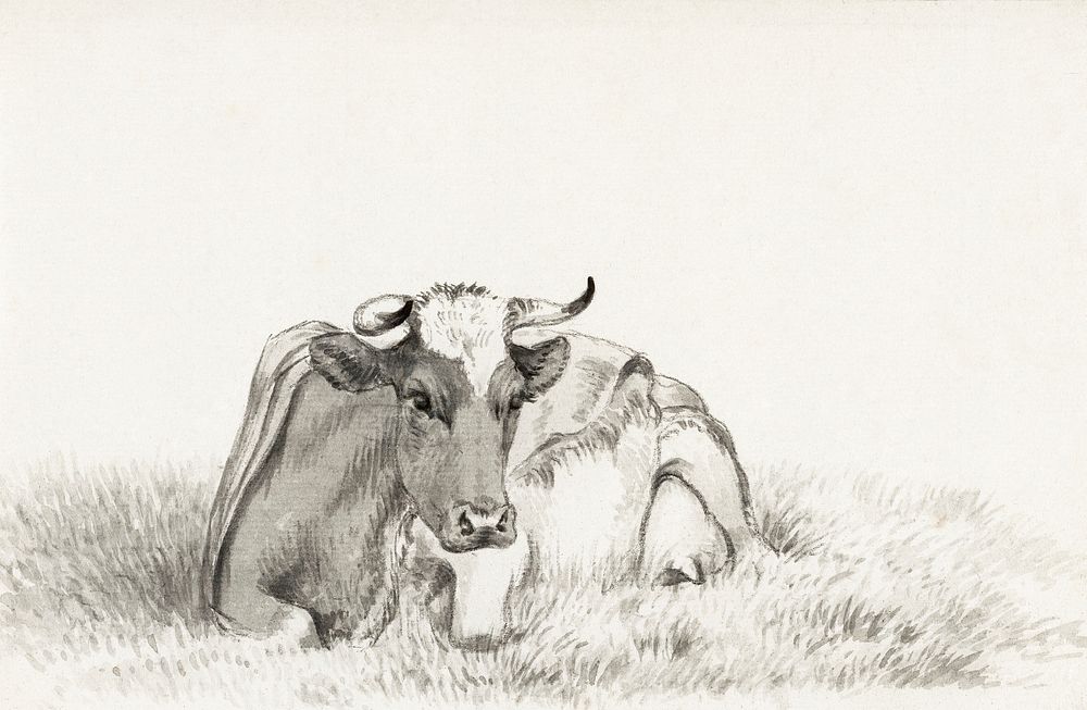 Lying cow (1816) by Jean Bernard (1775-1883). Original from The Rijksmuseum. Digitally enhanced by rawpixel.