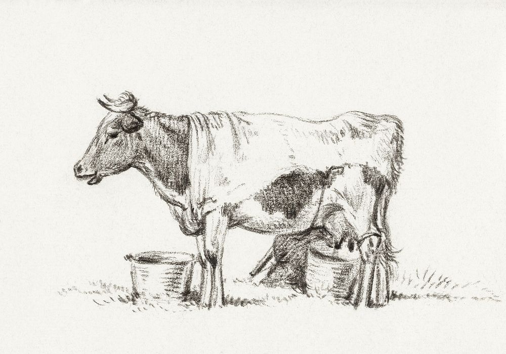 Standing cow, with milk bucket and milk stool (1823) by Jean Bernard (1775-1883). Original from The Rijksmuseum. Digitally…