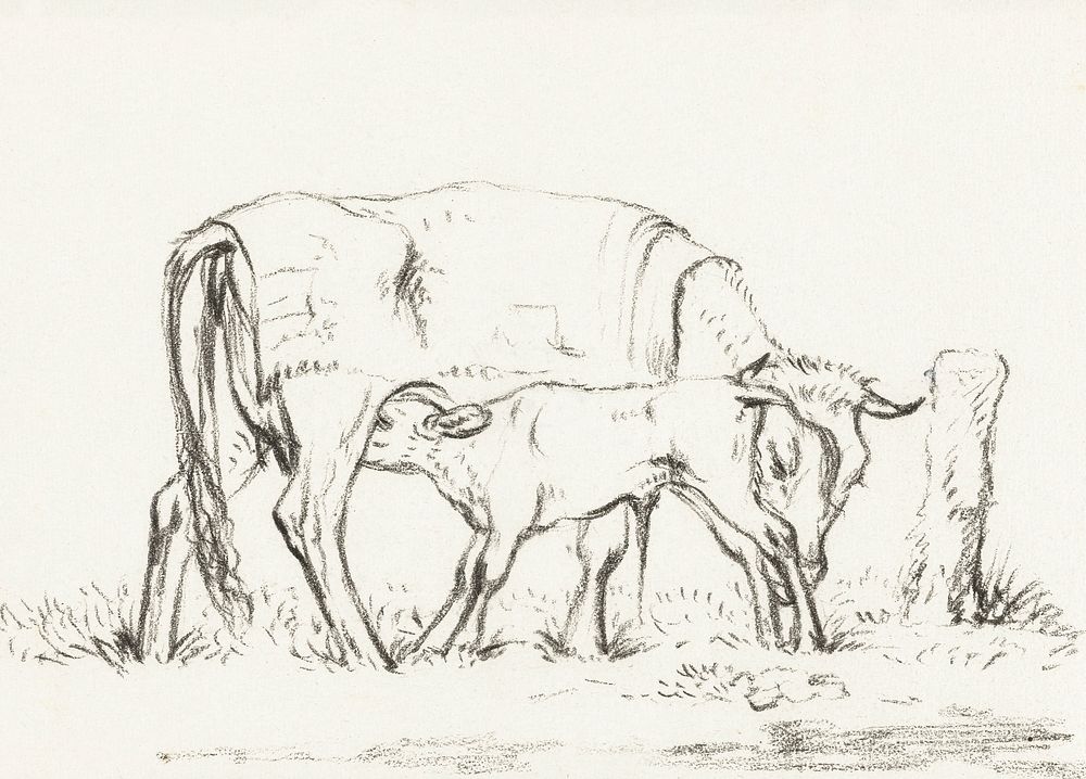 Calf drinking with his mother by Jean Bernard (1775-1883). Original from The Rijksmuseum. Digitally enhanced by rawpixel.