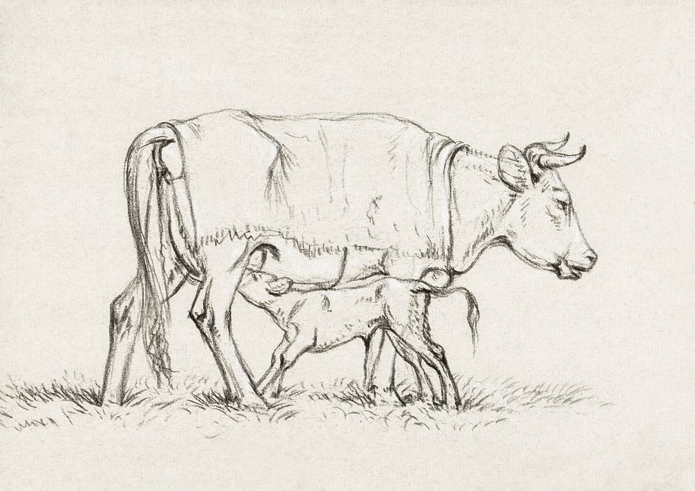 Calf drinking with his mother (1815) by Jean Bernard (1775-1883). Original from The Rijksmuseum. Digitally enhanced by…