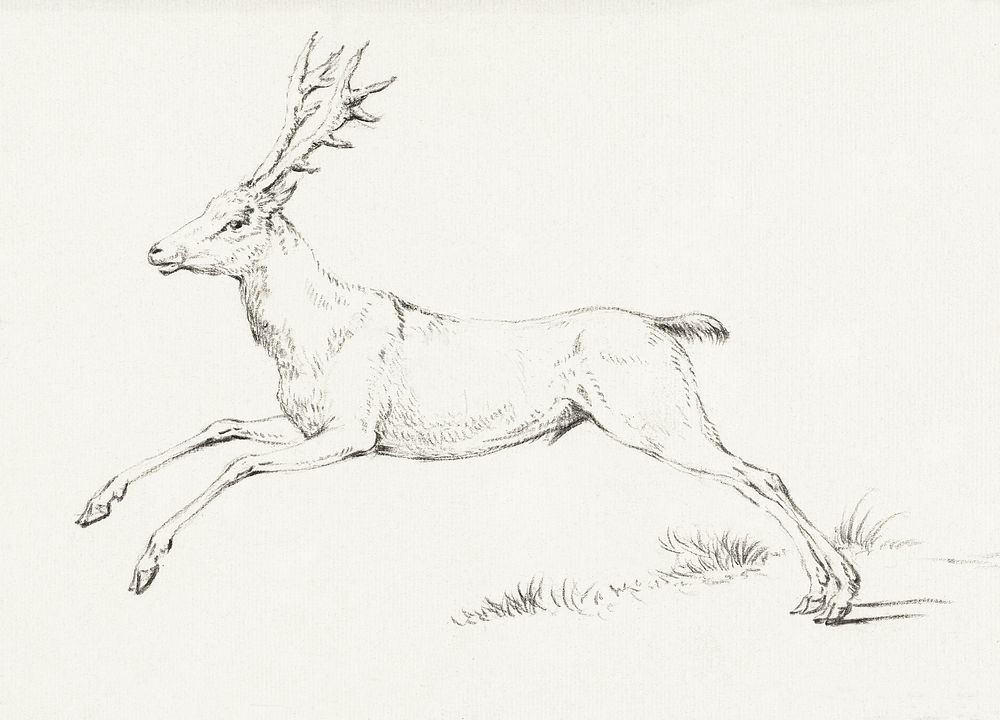 Jumping deer by Jean Bernard (1775-1883). Original from The Rijksmuseum. Digitally enhanced by rawpixel.