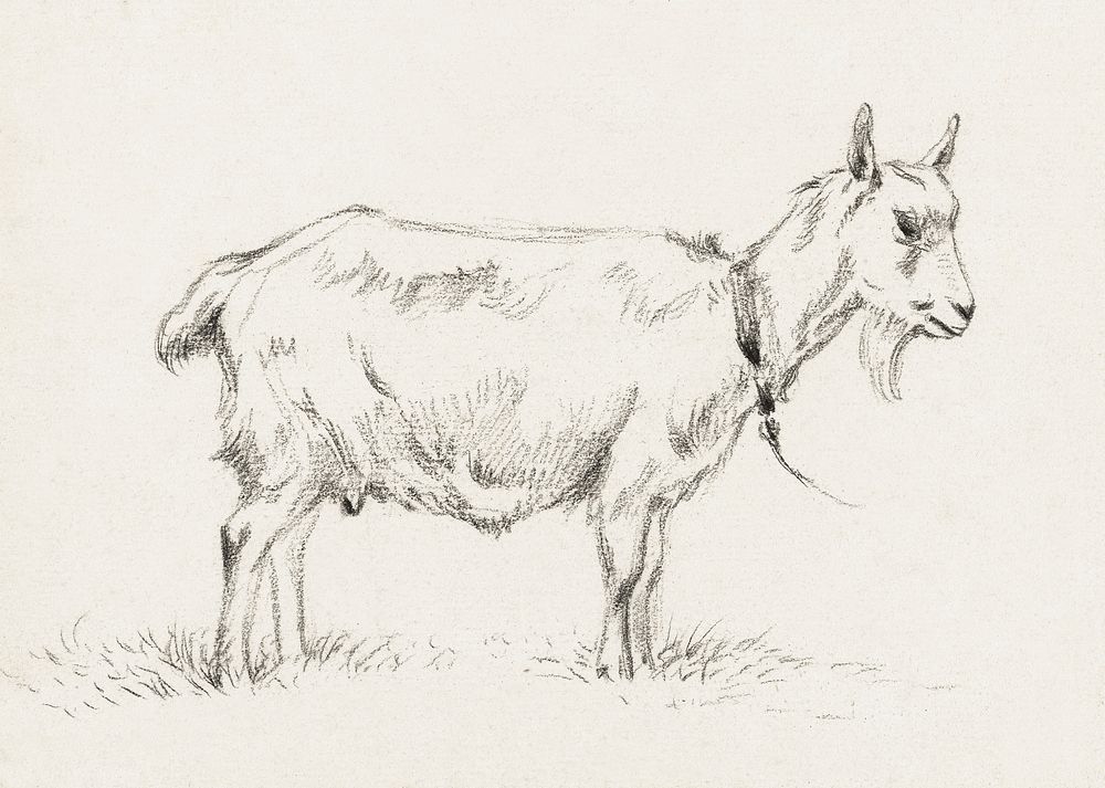 Standing goat (1809) by Jean Bernard (1775-1883). Original from The Rijksmuseum. Digitally enhanced by rawpixel.