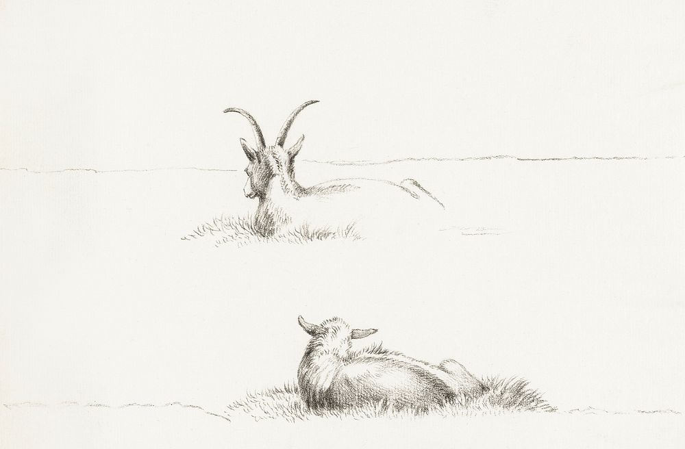 Sketches of a lying goat and a sheep by Jean Bernard (1775-1883). Original from The Rijksmuseum. Digitally enhanced by…