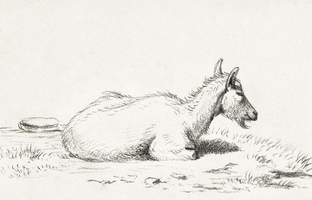 Lying goat (1816) by Jean Bernard (1775-1883). Original from The Rijksmuseum. Digitally enhanced by rawpixel.