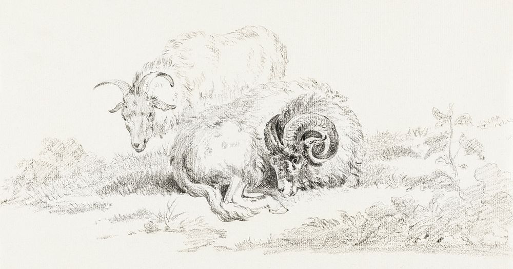 Lying goat and a standing goat by Jean Bernard (1775-1883). Original from The Rijksmuseum. Digitally enhanced by rawpixel.