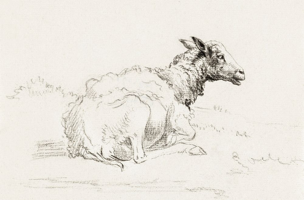 Lying sheep by Jean Bernard (1775-1883). Original from The Rijksmuseum. Digitally enhanced by rawpixel.