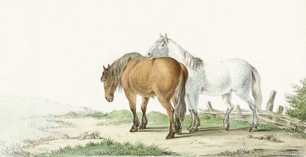 A brown and white horse on a road next to a fence by Jean Bernard (1802). Digitally enhanced by rawpixel.
