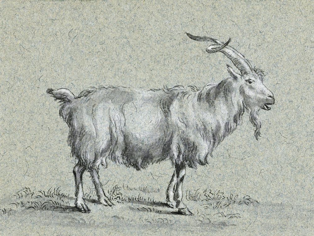 Standing goat by Jean Bernard (1775-1883). Original from The Rijksmuseum. Digitally enhanced by rawpixel.