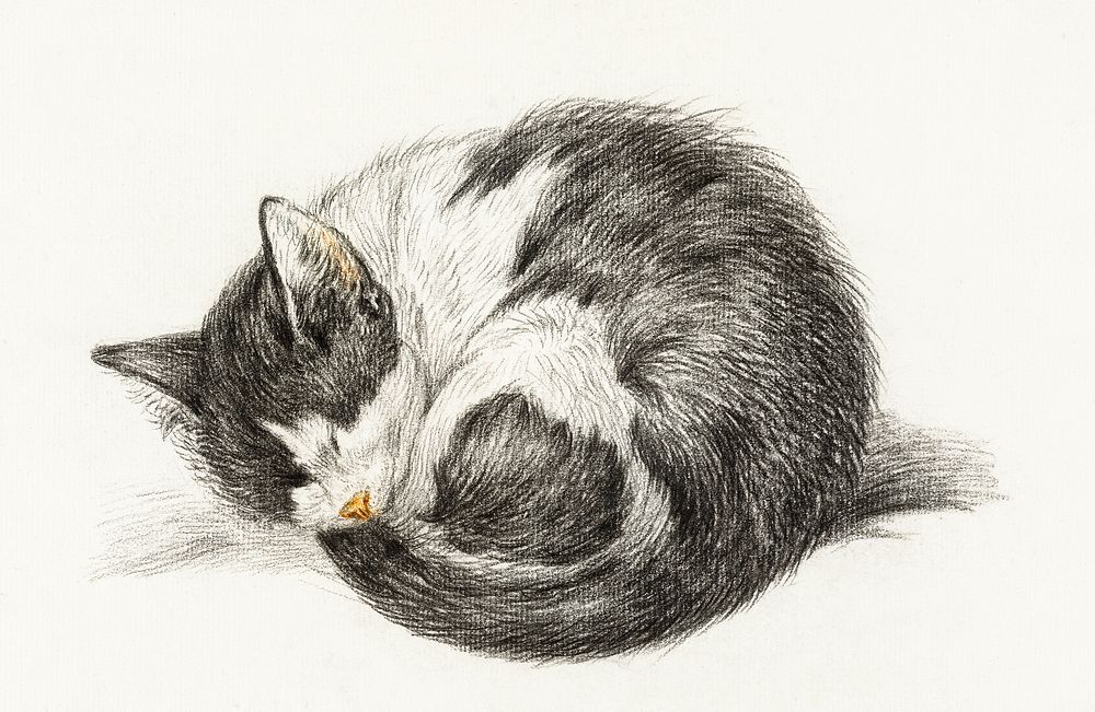 Rolled up lying sleeping cat (1825) by Jean Bernard (1775-1883). Original from The Rijksmuseum. Digitally enhanced by…