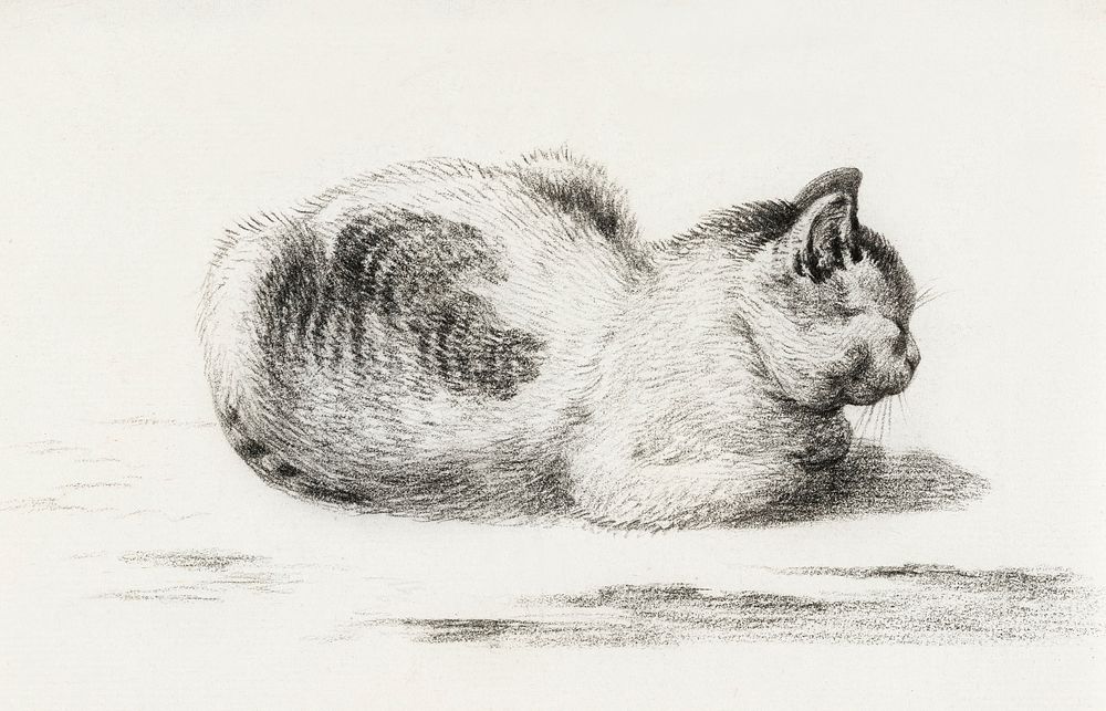 Reclining cat by Jean Bernard (1775-1883). Original from The Rijksmuseum. Digitally enhanced by rawpixel.