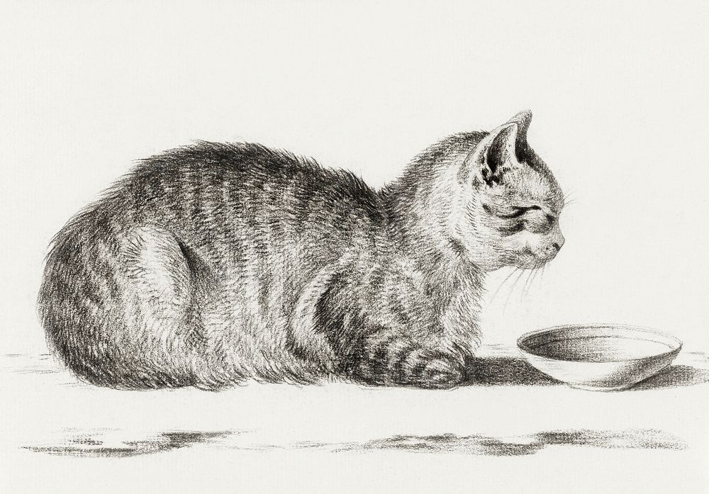 Lying cat for a dish (1812) by Jean Bernard (1775-1883). Original from The Rijksmuseum. Digitally enhanced by rawpixel.