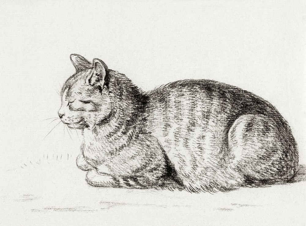 Lying cat (1811) by Jean Bernard (1775-1883). Original from The Rijksmuseum. Digitally enhanced by rawpixel.