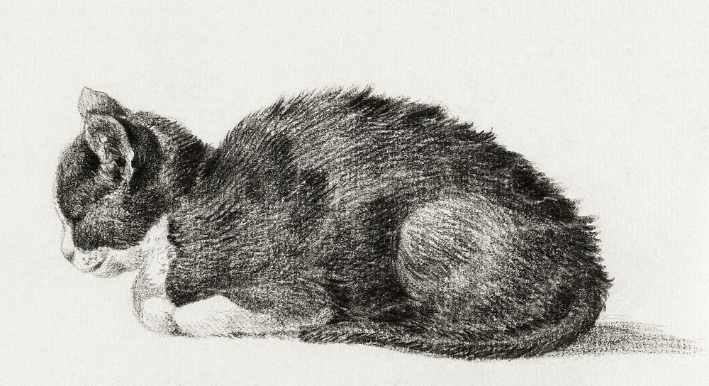 Lying cat (1800) by Jean Bernard (1775-1883). Original from The Rijksmuseum. Digitally enhanced by rawpixel.