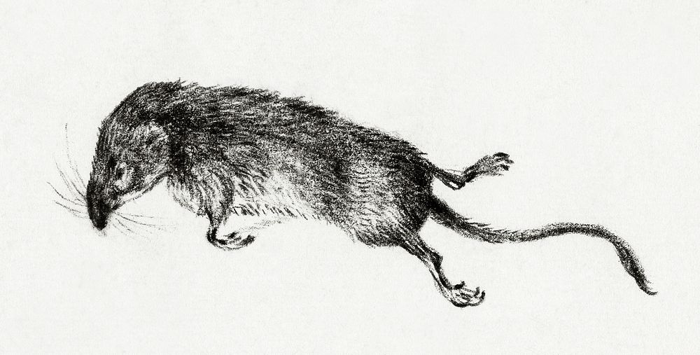 Death mouse (1822) by Jean Bernard (1775-1883). Original from The Rijksmuseum. Digitally enhanced by rawpixel.