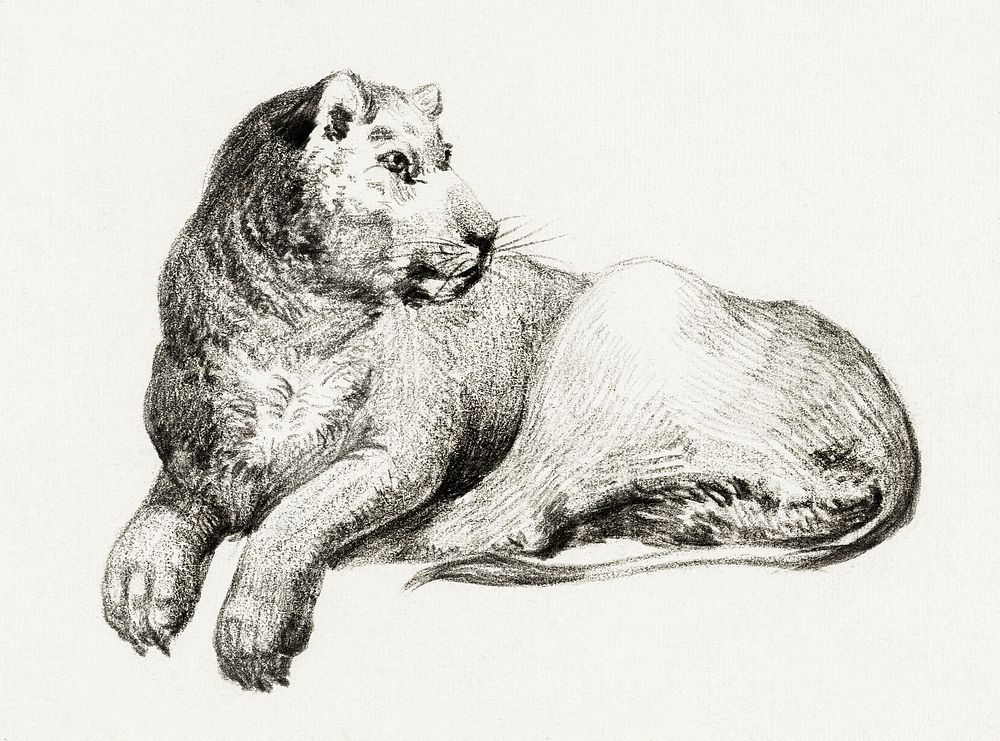 Lying lion by Jean Bernard (1775-1883). Original from The Rijksmuseum. Digitally enhanced by rawpixel.