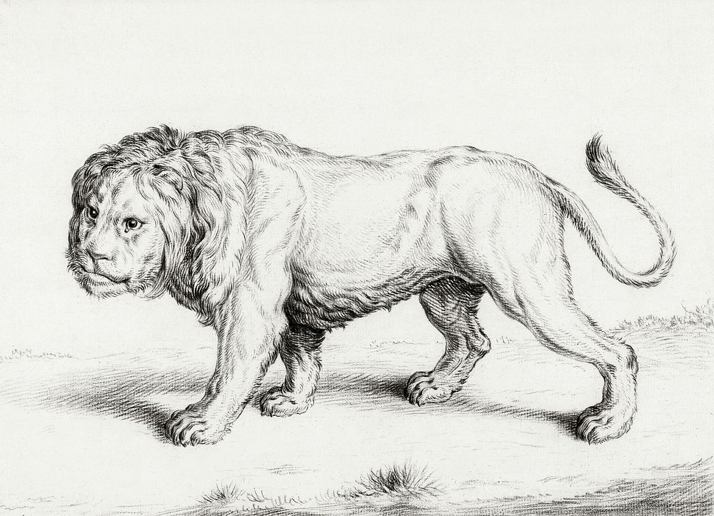 Lion by Jean Bernard (1775-1883). Original from The Rijksmuseum. Digitally enhanced by rawpixel.